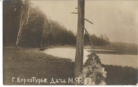 Рисунки