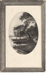 Рисунки