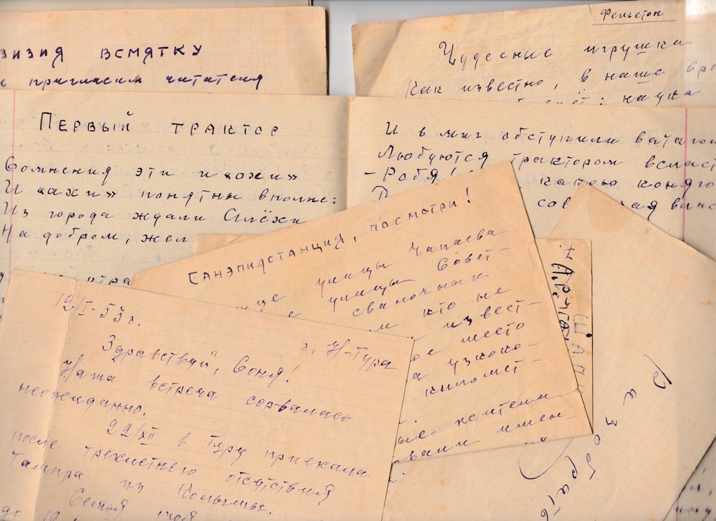 Журналист. Селезнев Николай